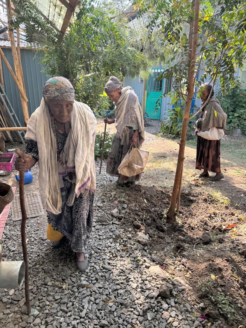 Elderly women walking in community